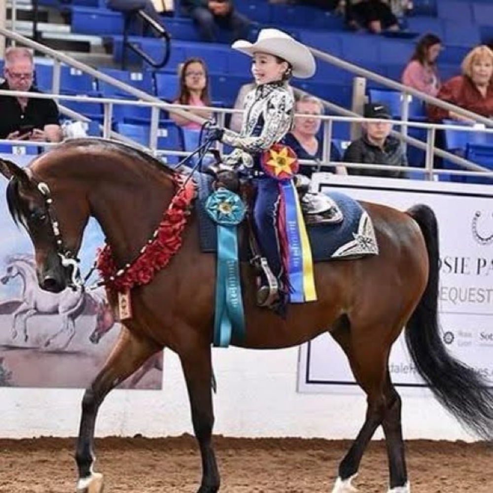 Kids Equestrian Show Outfit